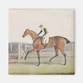 Imán British Racehorse (The Duchess)