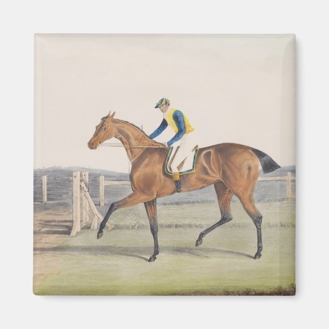 Imán British Racehorse (The Duchess) (Frente)