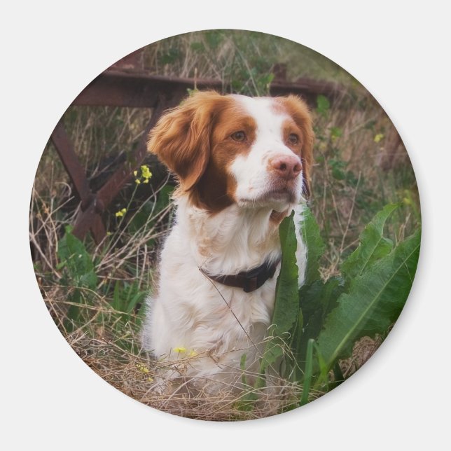 Imán Brittany (Frente)