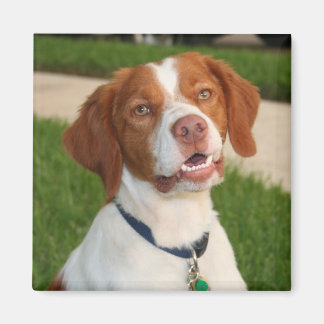 Imán Brittany Magnet