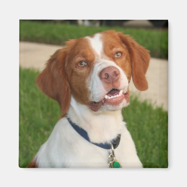 Imán Brittany Magnet (Frente)