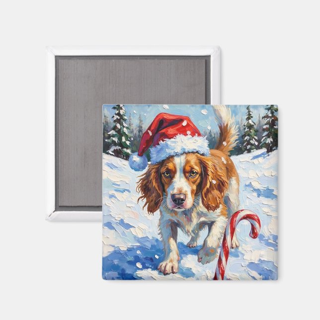 Imán Brittany Spaniel Dog Pointing at Christmas Candy (Anverso/Reverso)