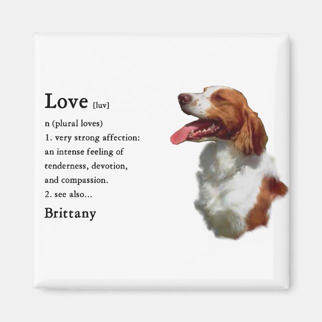 Imán Brittany Spaniel Gifts (Frente)