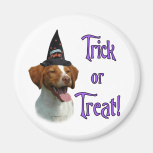 Imán Brittany Spaniel Trick