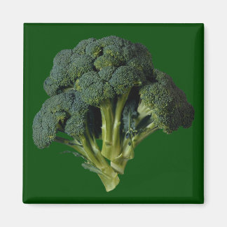 Imán Broccoli