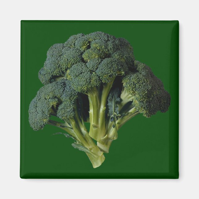 Imán Broccoli (Frente)