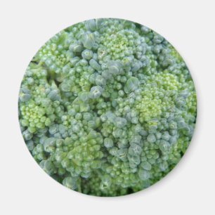 Imán Broccoli Macro Magnet