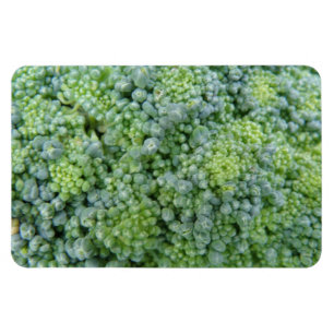 Imán Broccoli Macro Premium Magnet