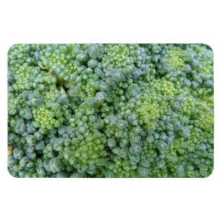 Imán Broccoli Macro Premium Magnet