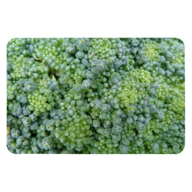 Imán Broccoli Macro Premium Magnet (Horizontal)