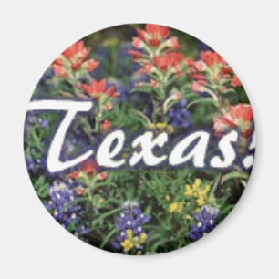 Imán Brochas de los Bluebonnets de Tejas