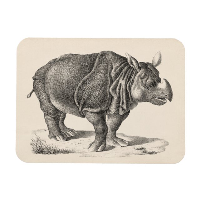 Imán Brodtmann Rhinoceros Sketch (Horizontal)