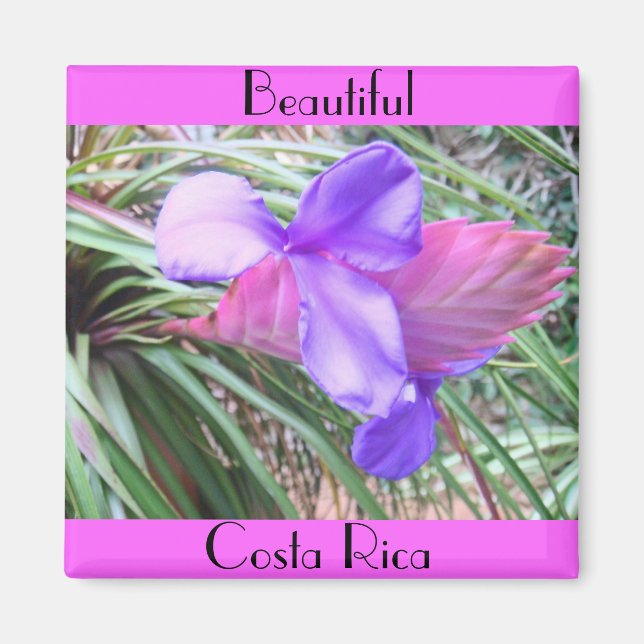 Imán Bromelias de Costa Rica (Frente)