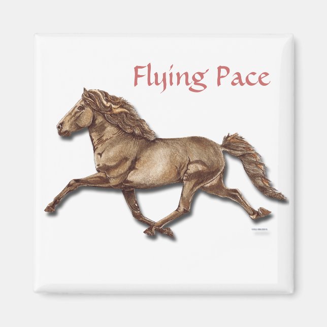 Imán Bronce islandés (Frente)