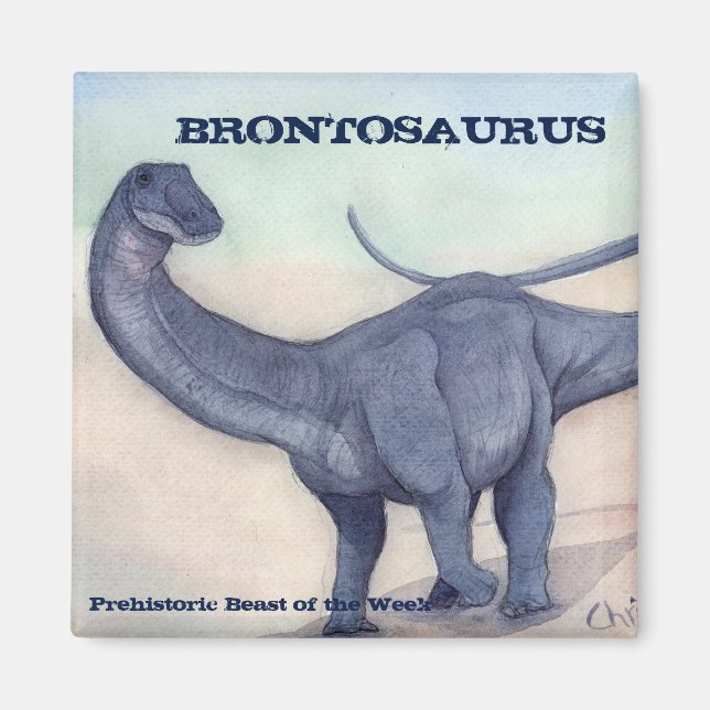 Imán Brontosaurus Magnet (Frente)