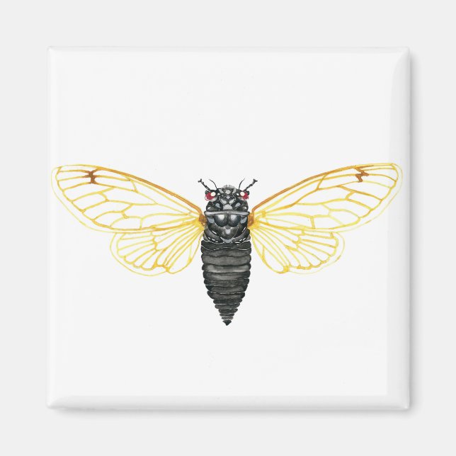Imán Brood X Cicada Periódica A 17 Años (Frente)