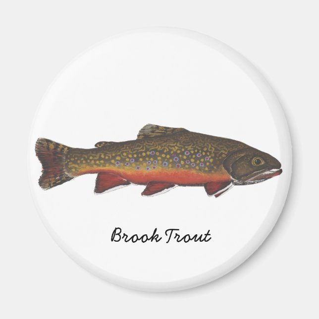 Imán Brook Trout (Frente)