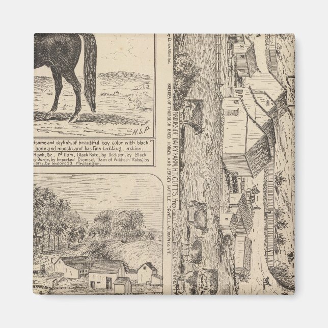 Imán Brookside Dairy Farm (Frente)