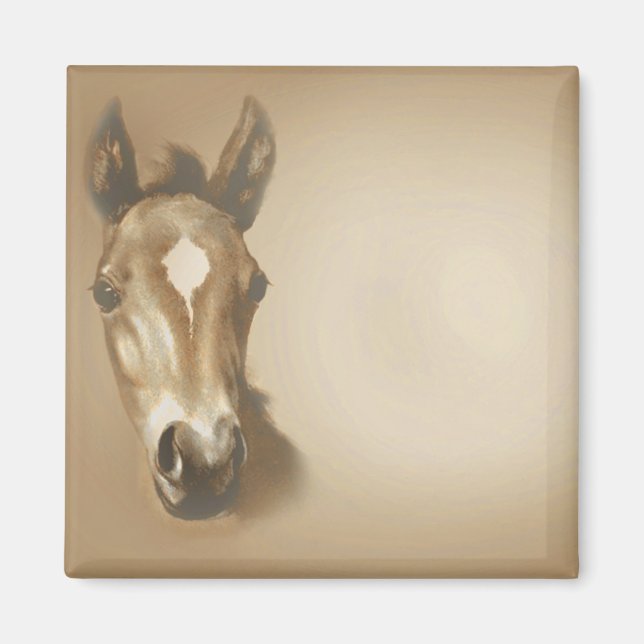 IMÁN BROWN-HORSE (Frente)