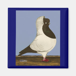 Imán Brown Nun Pigeon