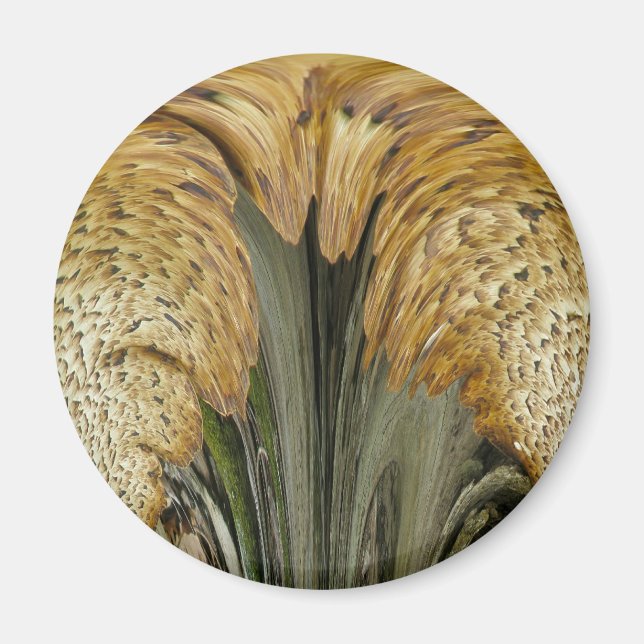 Imán Brown Striped Shelf Fungus Coordinating Items (Frente)