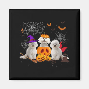 Imán Bruja de calabaza divertida perro Bichon Frise Hal