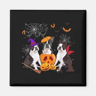 Imán Bruja de calabaza divertida perro Boston Terrier H