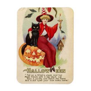 Imán Bruja de Halloween y gato negro