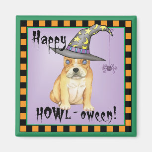 Imán Bruja francesa