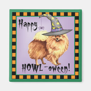 Imán Bruja pomerana