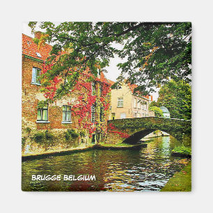 IMÁN BRUJAS, BÉLGICA