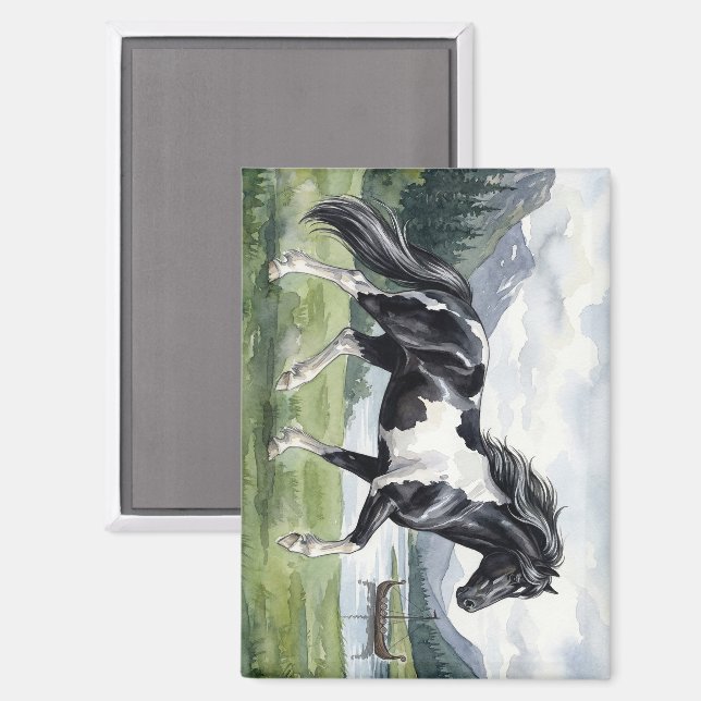 Imán Brunskjottur Pinto negro islandés (Anverso/Reverso)