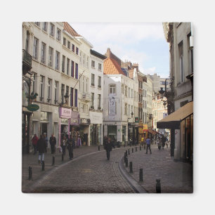 Imán Bruselas