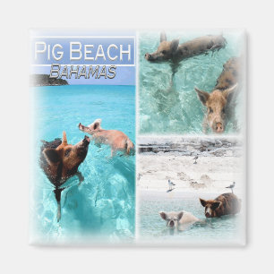 Imán BS0018 América, Bahamas, Fridge