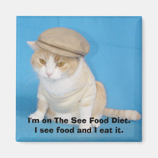 Imán Bubba Kitty Magnet