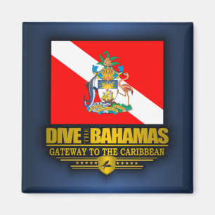 Imán Bucear en las Bahamas 2