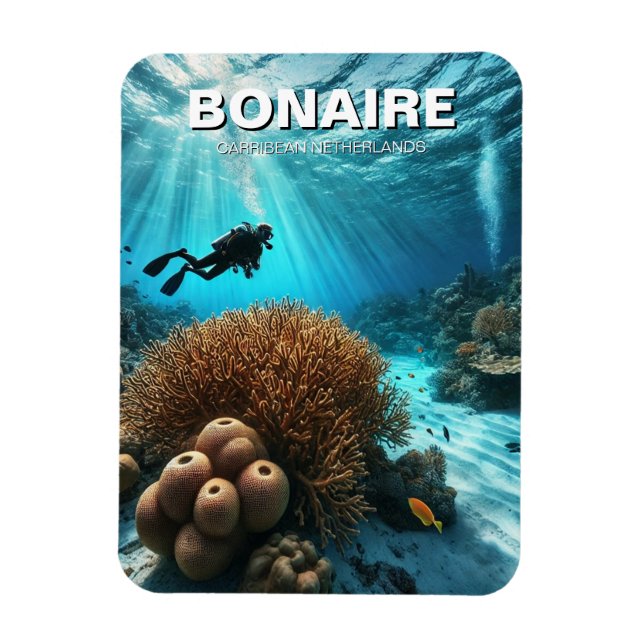 Imán Buceo Bonaire Caribean Holanda (Vertical)