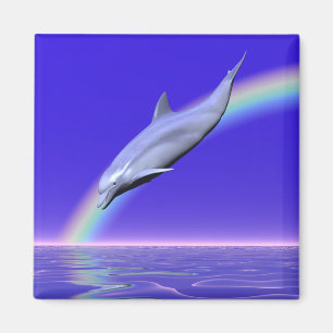 Imán Buceo con delfín con arco iris