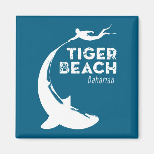 Imán Buceo con Tiburones en Tiger Beach