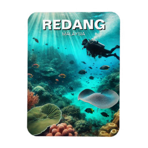 Imán Buceo Scuba en Redang Malasia
