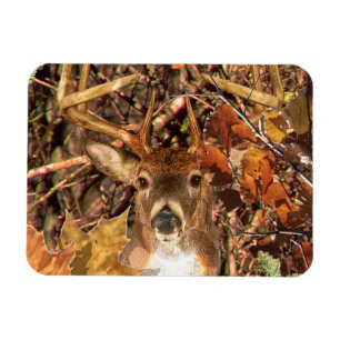 Imán Buck in Camo White Tail Deer