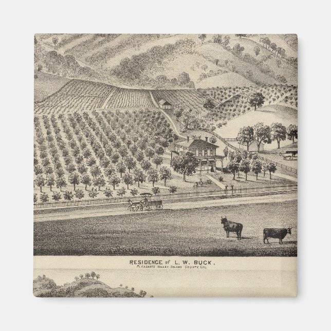 Imán Buck res, Bunker Hill Farm (Frente)
