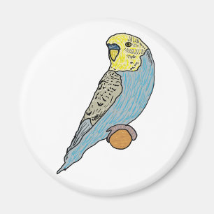 Imán Budgie