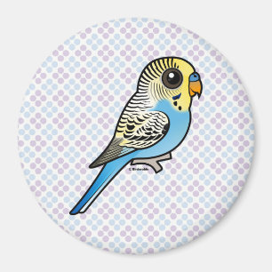 Imán Budgie azul y amarillo