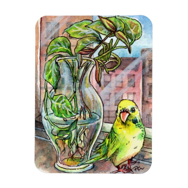 Imán Budgie by the Window (Vertical)