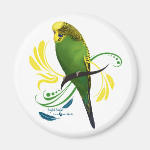 Imán Budgie inglesa verde