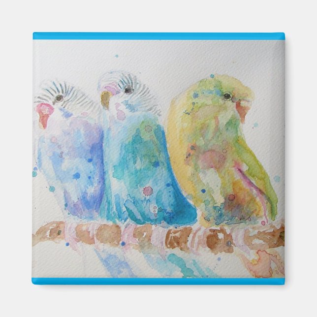 Imán Budgies Aqua Verde azulado pájaro de pintura de co (Frente)