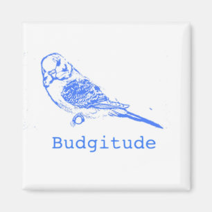 Imán Budgitude
