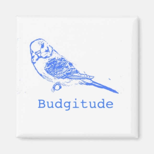 Imán Budgitude (Frente)
