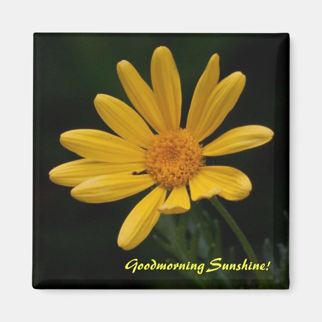 Imán Buen día, sol (Frente)